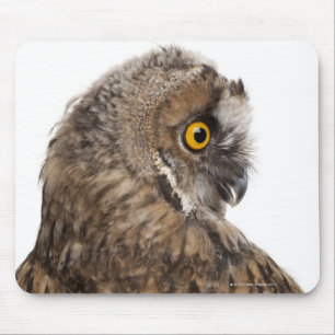 Eurasische Scops-Eule - Otus scops (2 Monate alte) Mousepad