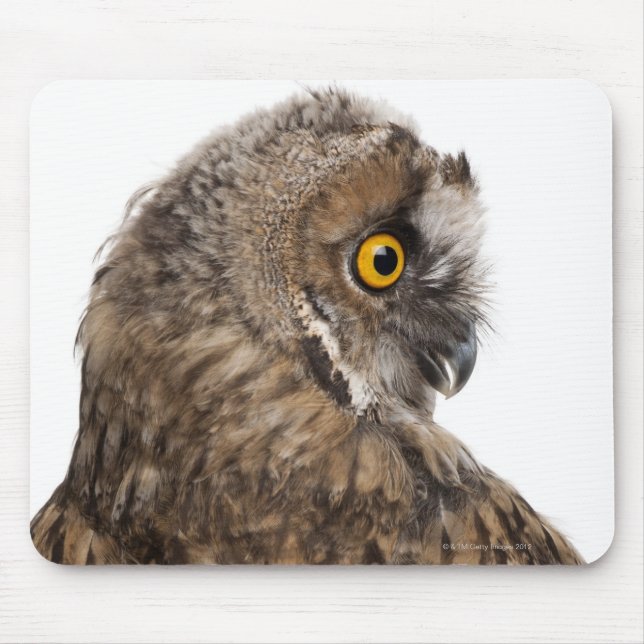 Eurasische Scops-owl - Otus scops (2 Monate alt) Mousepad (Vorne)