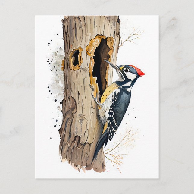 Eurasische Treecreeper mit Wasserfarbe - Suche nac Postkarte (Vorderseite)