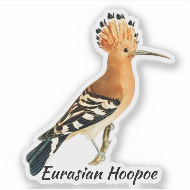 Eurasischer Hoopoe-Vogel, gekennzeichnet Aufkleber (Vorderseite)