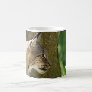 Eurasischer Lynx Kaffeetasse