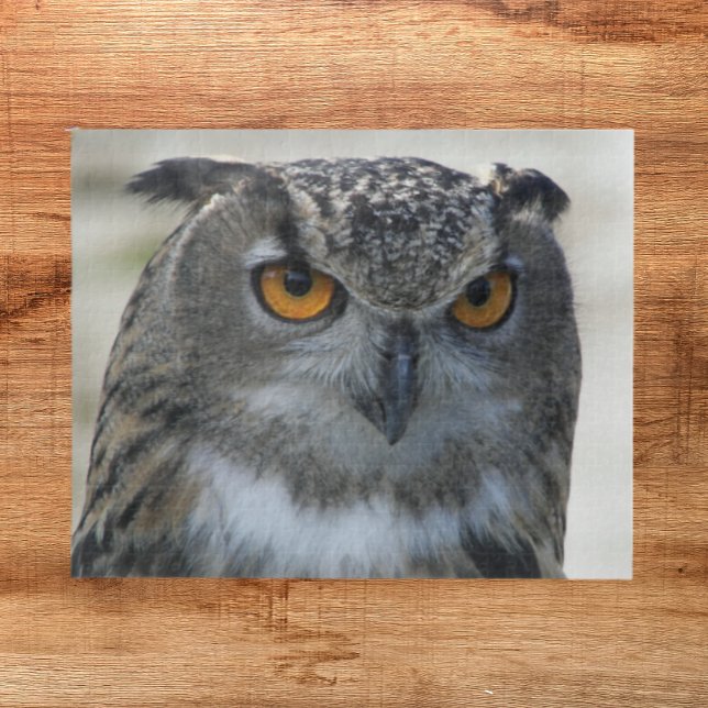 Eurasisches Eagle Owl-Foto Puzzle (Von Creator hochgeladen)