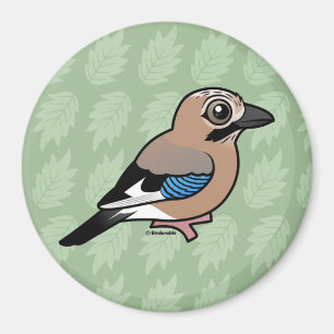 Eurasisches Jay Magnet
