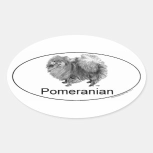 Euro Pomeranian Ovaler Aufkleber