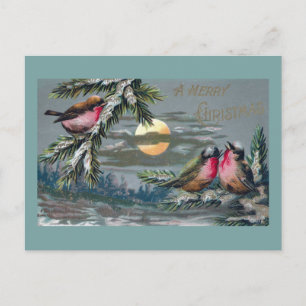 Euro Robins on Moonlit Night Vintage Weihnachten