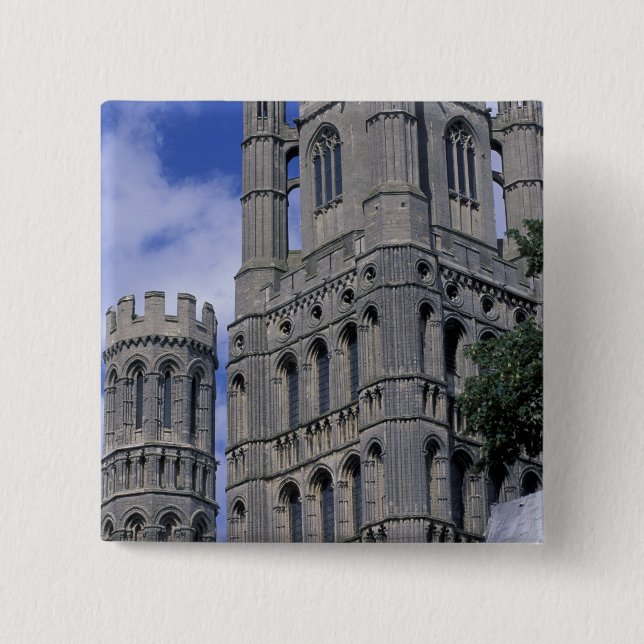 Europa, England, Cambridgeshire, Ely. Esel Button (Vorderseite)