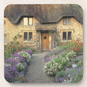 Europa, England, Chippenham. Frühes Morgenlicht Untersetzer