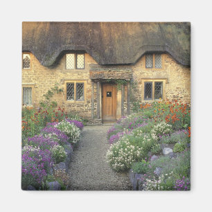 Europa, England, Chippenham. Frühmorgendliches Lic Magnet