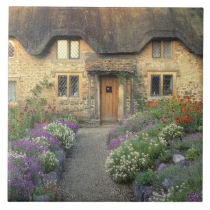 Europa, England, Chippenham. Morgenlicht Fliese