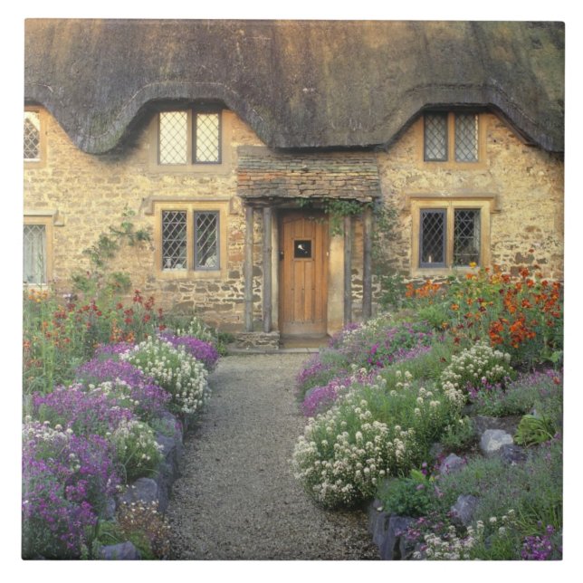 Europa, England, Chippenham. Morgenlicht Fliese (Vorderseite)