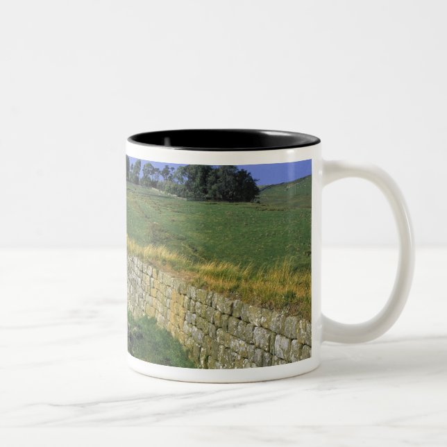 Europa, England, die Hadrianische Mauer. Die Stein Zweifarbige Tasse (Rechts)