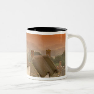 Europa, England, Dorset, Shaftesbury. Goldener Hüg Zweifarbige Tasse