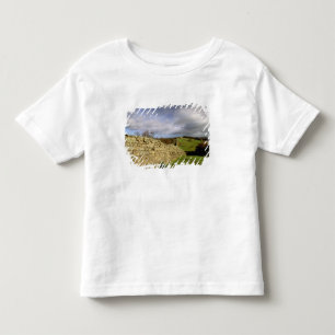 Europa, England, Northumberland. Hadrian Kleinkind T-shirt