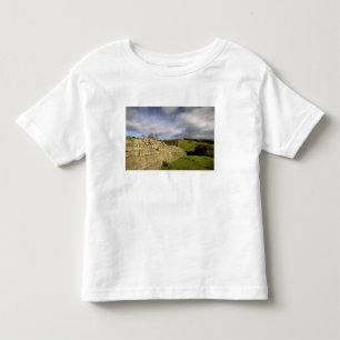 Europa, England, Northumberland. Hadrians Kleinkind T-shirt