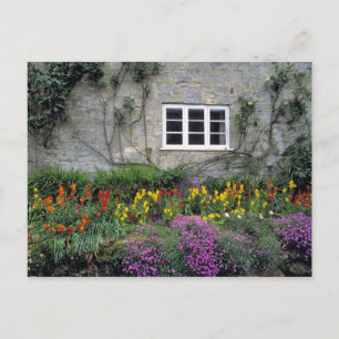 Europa, England, Teffont Magna. Blume Postkarte
