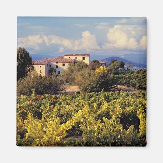 Europa, Frankreich, Bonnieux Die Weinberge bedecke Magnet (Vorne)