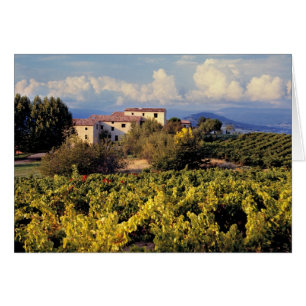 Europa, Frankreich, Bonnieux. Weinberge bedecken d