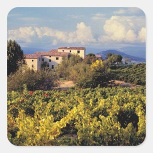 Europa, Frankreich, Bonnieux. Weinberge bedecken d Quadratischer Aufkleber