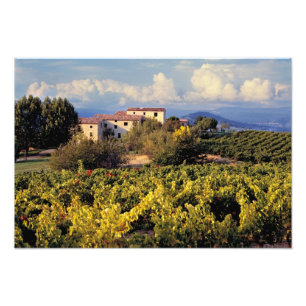 Europa, Frankreich, Bonnieux. Weinberge bedecken Fotodruck