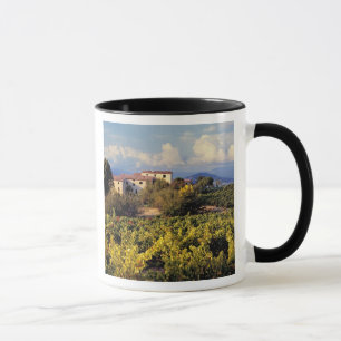 Europa, Frankreich, Bonnieux. Weinberge bedecken Tasse