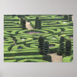 Europa, Frankreich, Indre, et, Loire; Loire Poster