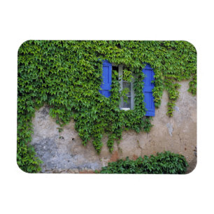 Europa, Frankreich, Lourmarin. Efeu Magnet