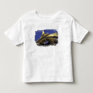 Europa, Frankreich, Paris, Eiffelturm, Abend 2 Kleinkind T-shirt