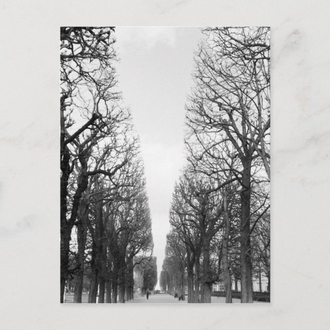 Europa, Frankreich, Paris Winterbäume, Marco Polo Postkarte (Vorderseite)