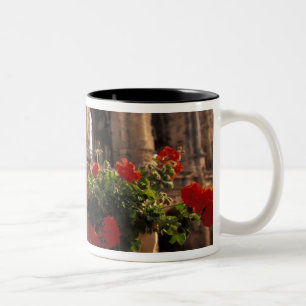Europa, Frankreich, Provence, Arles, Bouches, du Zweifarbige Tasse