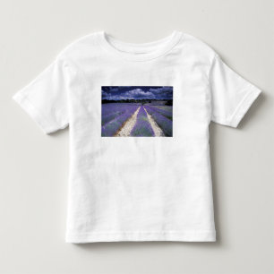 Europa, Frankreich, Provence. Lavendelfelder Kleinkind T-shirt