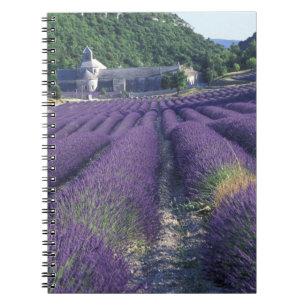 Europa, Frankreich, Provence. Lavendelfelder Notizblock