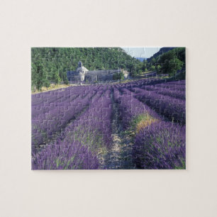 Europa, Frankreich, Provence. Lavendelfelder Puzzle