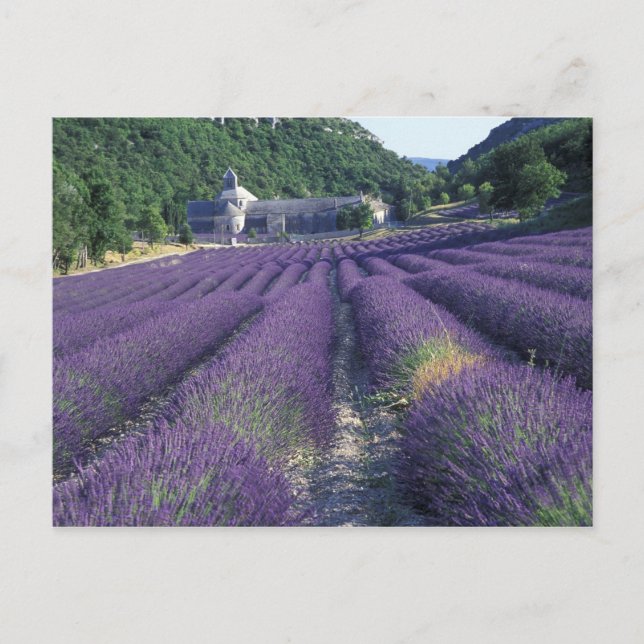 Europa, Frankreich, Provence. Lawinenfelder Postkarte (Vorderseite)