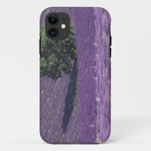 Europa, Frankreich, Provence, Sault, Lavendelfelde Case-Mate iPhone Hülle