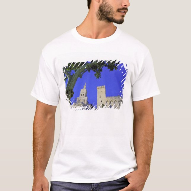 Europa, Frankreich, Provence, Vaucluse, Avignon. T-Shirt (Vorderseite)