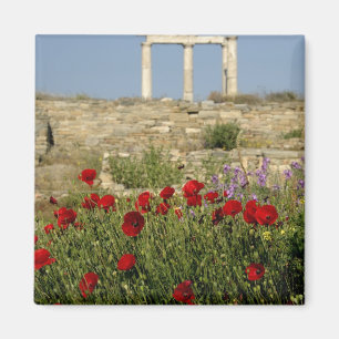 Europa, Griechenland, Cyclades, Delos. Spalten rui Magnet