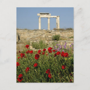 Europa, Griechenland, Cyclades, Delos. Spalten rui Postkarte