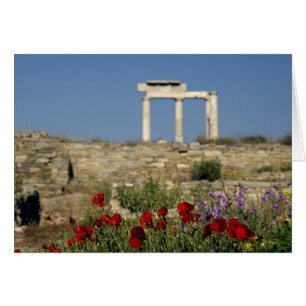 Europa, Griechenland, Kykladen, Delos. Säulenruine