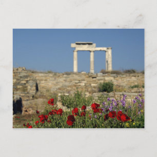 Europa, Griechenland, Kykladen, Delos. Säulenruine Postkarte
