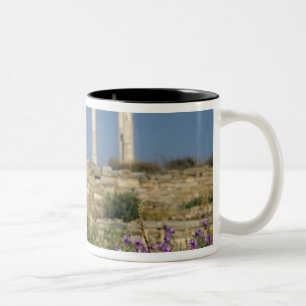 Europa, Griechenland, Kykladen, Delos. Säulenruine Zweifarbige Tasse