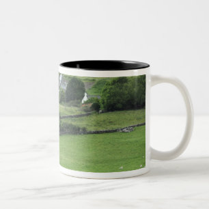 Europa, Irland, Kerry Landkreis, Ring of Kerry. Zweifarbige Tasse