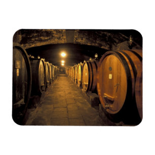 Europa, Italien, Region Toskana. Chianti-Keller Magnet
