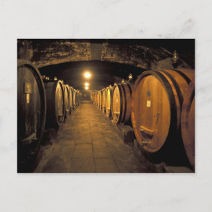 Europa, Italien, Region Toskana. Chianti-Keller Postkarte