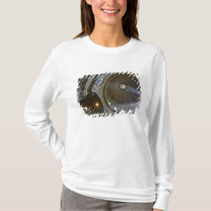 Europa, Italien, Rom. Petersdom (alias T-Shirt