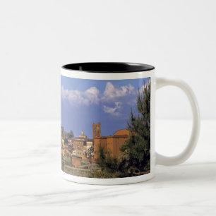 Europa, Italien, San Miniato. Unter einem weiten, Zweifarbige Tasse