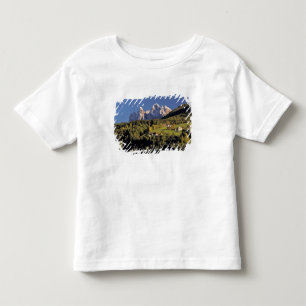 Europa, Italien, San Pietro. Die Odle-Gruppe schei Kleinkind T-shirt
