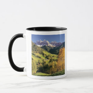 Europa, Italien, Santa Magdalena. Die winzige Tasse