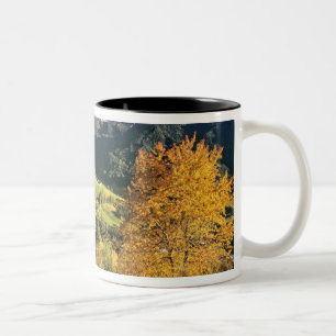 Europa, Italien, Santa Magdalena. Die winzige Zweifarbige Tasse