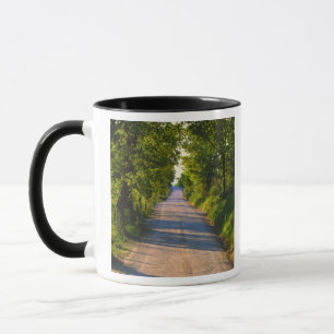 Europa, Italien, Toskana, Baumgesäumte Straße Tasse