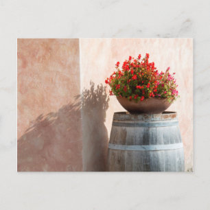 Europa, Italien, Toskana. Blume Postkarte